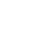 Bear Down Logo